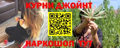 прущие грибы Пенза