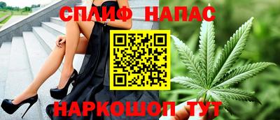 прущие грибы Пенза