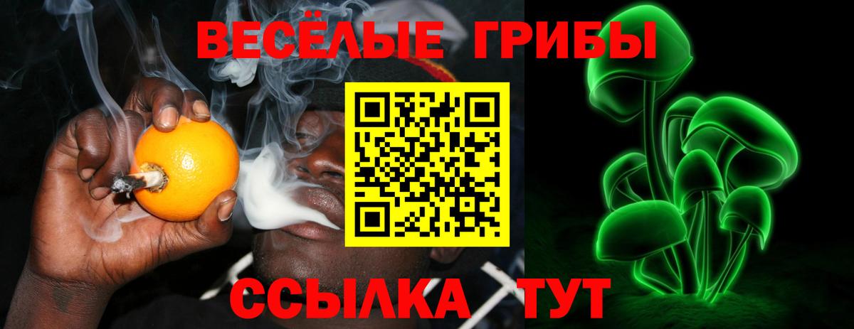 Псилоцибиновые грибы мицелий  купить  цена  Таганрог  Вход с VPN 